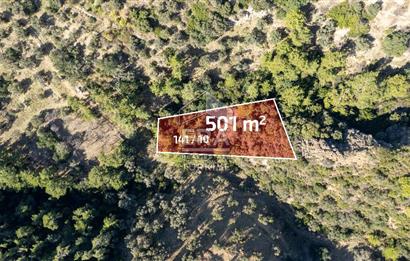 Datça Mesudiye'de Satılık 501m² Yatırım Değeri Yüksek Tarla