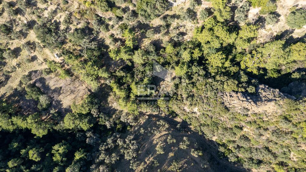 Datça Mesudiye'de Satılık 501m² Yatırım Değeri Yüksek Tarla