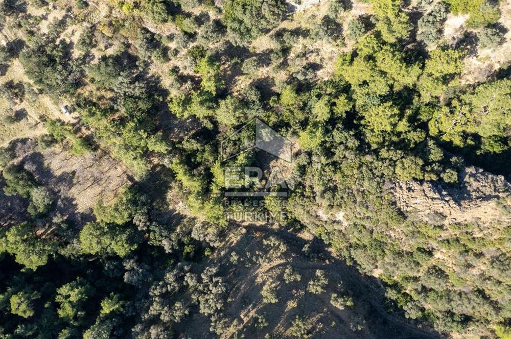 Datça Mesudiye'de Satılık 501m² Yatırım Değeri Yüksek Tarla