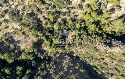 Datça Mesudiye'de Satılık 501m² Yatırım Değeri Yüksek Tarla