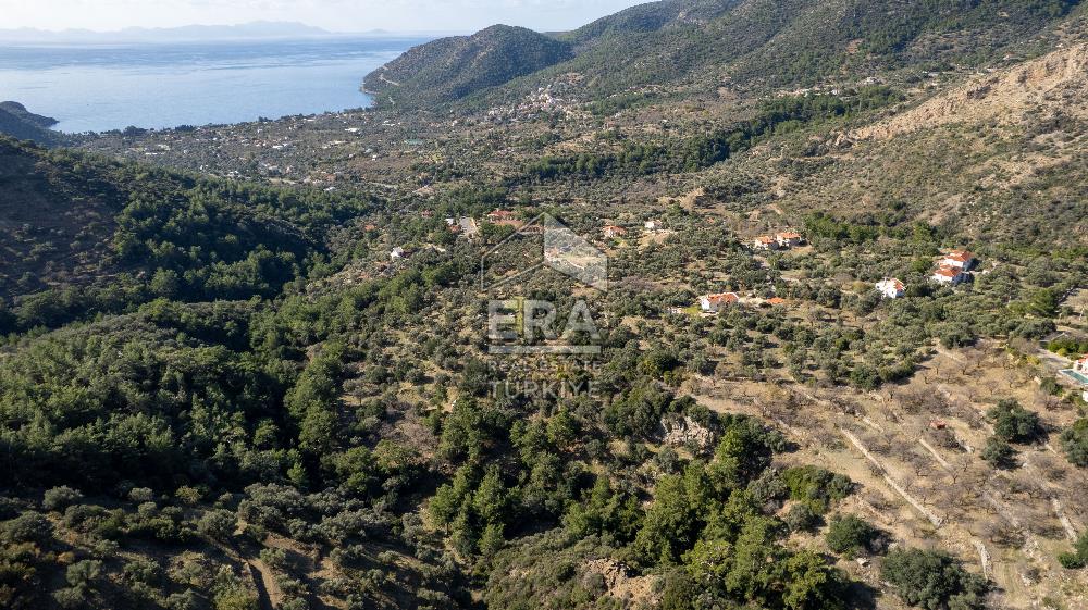 Datça Mesudiye'de Satılık 501m² Yatırım Değeri Yüksek Tarla