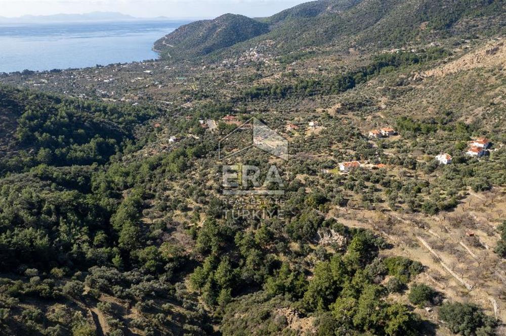 Datça Mesudiye'de Satılık 501m² Yatırım Değeri Yüksek Tarla