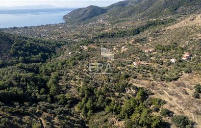 Datça Mesudiye'de Satılık 501m² Yatırım Değeri Yüksek Tarla