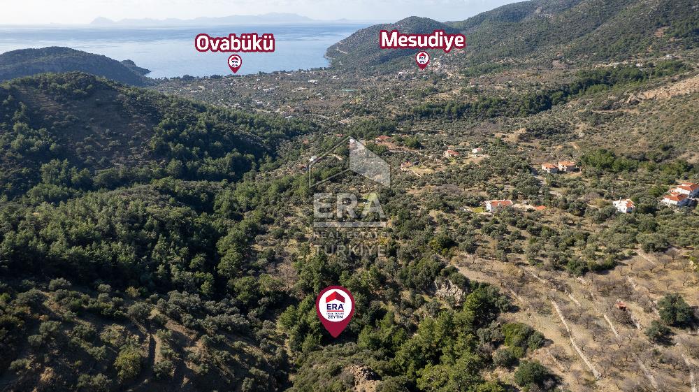 Datça Mesudiye'de Satılık 501m² Yatırım Değeri Yüksek Tarla