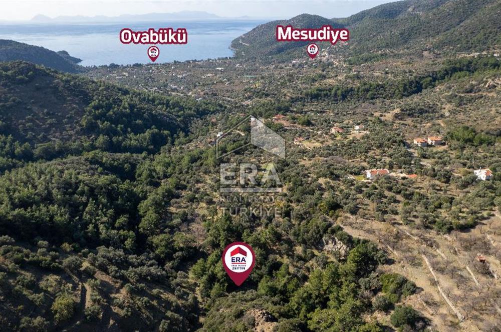 Datça Mesudiye'de Satılık 501m² Yatırım Değeri Yüksek Tarla