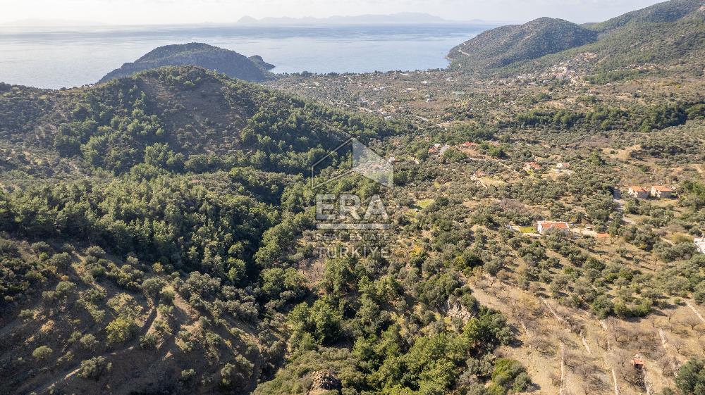 Datça Mesudiye'de Satılık 501m² Yatırım Değeri Yüksek Tarla