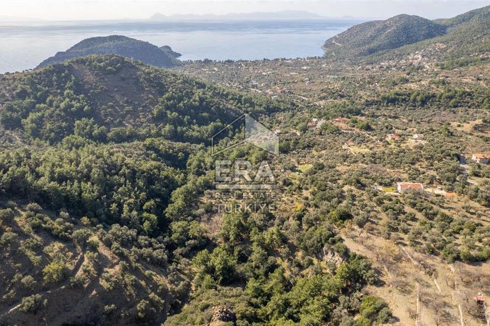 Datça Mesudiye'de Satılık 501m² Yatırım Değeri Yüksek Tarla