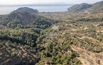 Datça Mesudiye'de Satılık 501m² Yatırım Değeri Yüksek Tarla