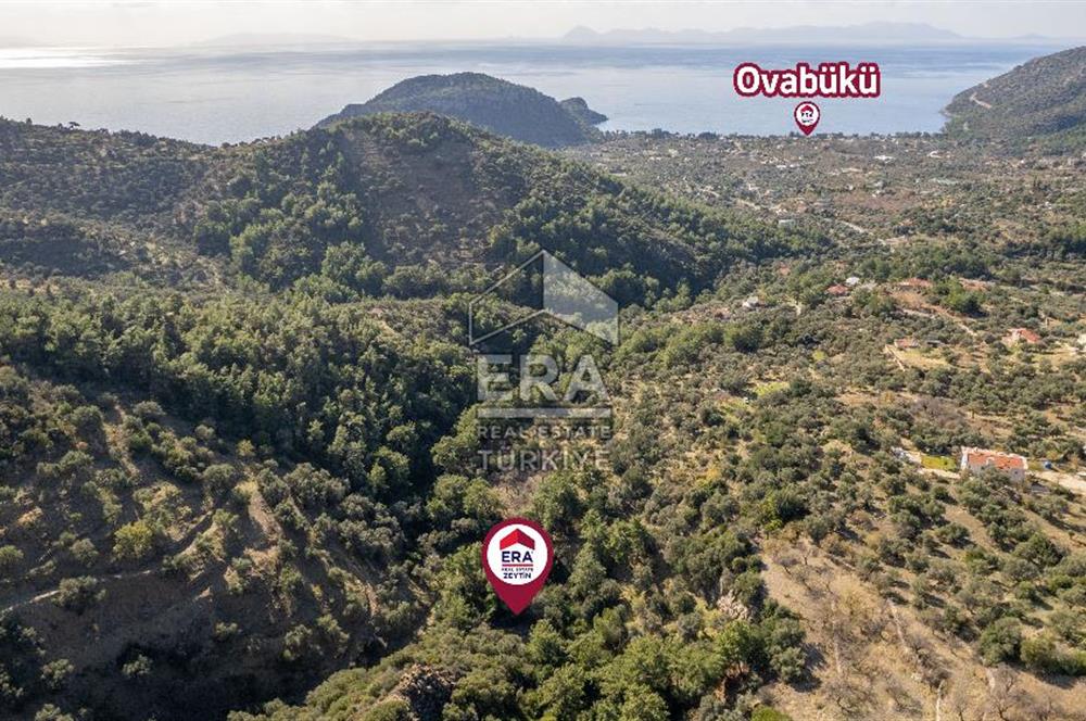 Datça Mesudiye'de Satılık 501m² Yatırım Değeri Yüksek Tarla