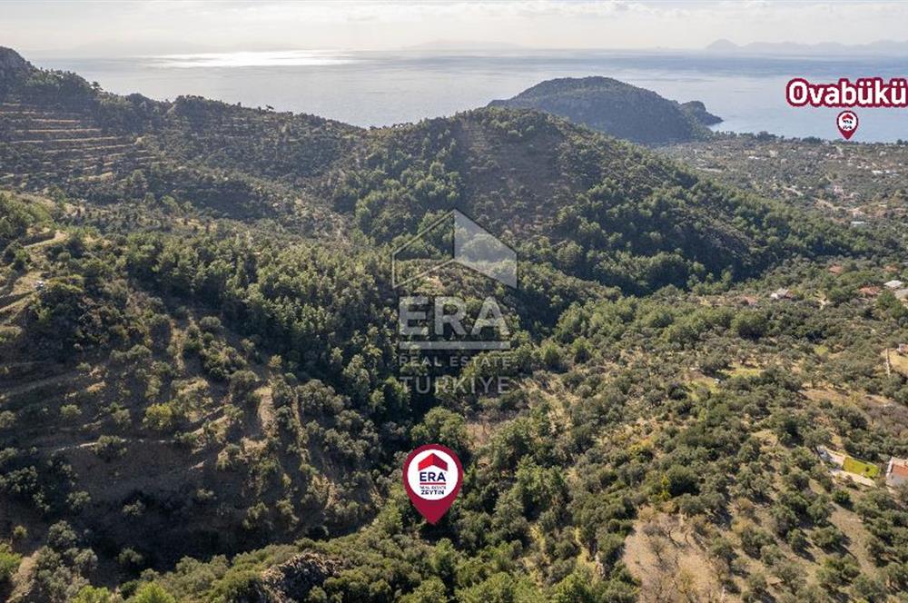 Datça Mesudiye'de Satılık 501m² Yatırım Değeri Yüksek Tarla