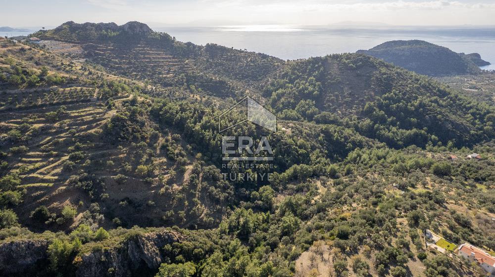 Datça Mesudiye'de Satılık 501m² Yatırım Değeri Yüksek Tarla
