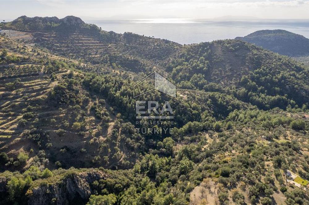 Datça Mesudiye'de Satılık 501m² Yatırım Değeri Yüksek Tarla