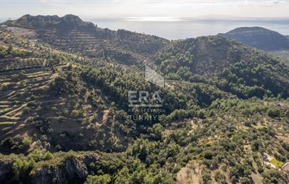 Datça Mesudiye'de Satılık 501m² Yatırım Değeri Yüksek Tarla