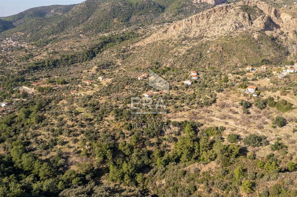 Datça Mesudiye'de Satılık 501m² Yatırım Değeri Yüksek Tarla