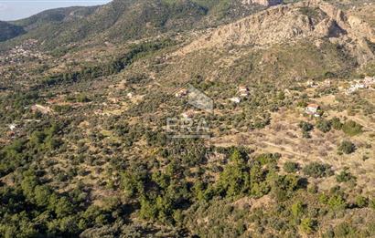 Datça Mesudiye'de Satılık 501m² Yatırım Değeri Yüksek Tarla