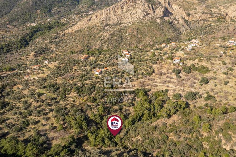 Datça Mesudiye'de Satılık 501m² Yatırım Değeri Yüksek Tarla