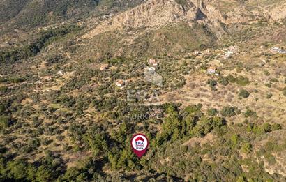 Datça Mesudiye'de Satılık 501m² Yatırım Değeri Yüksek Tarla