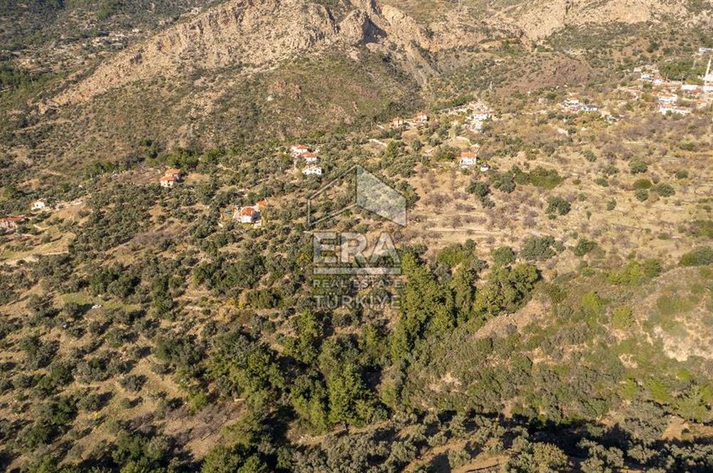 Datça Mesudiye'de Satılık 501m² Yatırım Değeri Yüksek Tarla