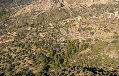 Datça Mesudiye'de Satılık 501m² Yatırım Değeri Yüksek Tarla