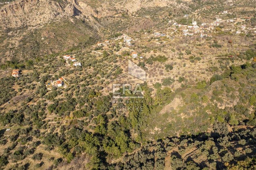 Datça Mesudiye'de Satılık 501m² Yatırım Değeri Yüksek Tarla