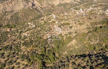 Datça Mesudiye'de Satılık 501m² Yatırım Değeri Yüksek Tarla