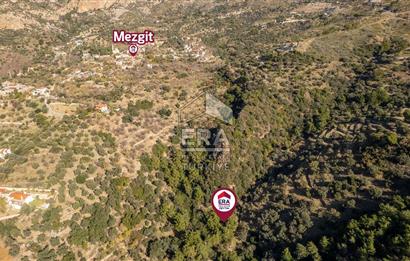 Datça Mesudiye'de Satılık 501m² Yatırım Değeri Yüksek Tarla