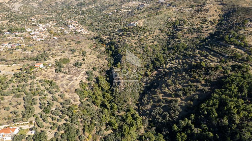 Datça Mesudiye'de Satılık 501m² Yatırım Değeri Yüksek Tarla