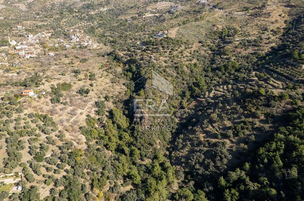 Datça Mesudiye'de Satılık 501m² Yatırım Değeri Yüksek Tarla