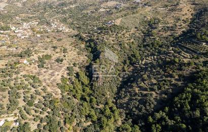 Datça Mesudiye'de Satılık 501m² Yatırım Değeri Yüksek Tarla