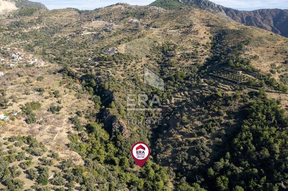 Datça Mesudiye'de Satılık 501m² Yatırım Değeri Yüksek Tarla