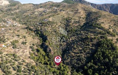 Datça Mesudiye'de Satılık 501m² Yatırım Değeri Yüksek Tarla