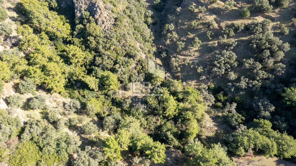 Datça Mesudiye'de Satılık 501m² Yatırım Değeri Yüksek Tarla