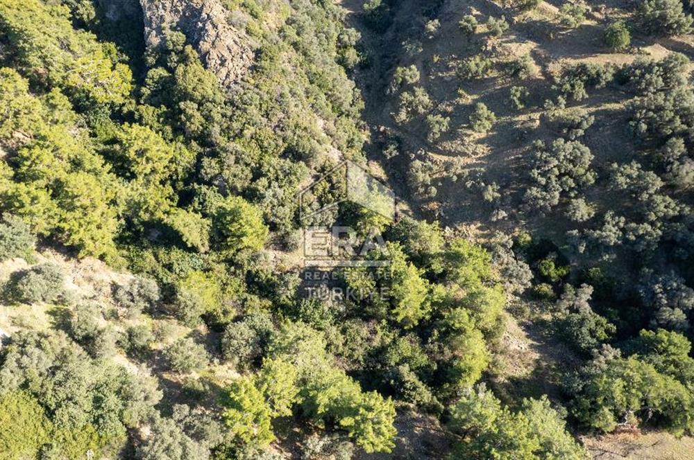 Datça Mesudiye'de Satılık 501m² Yatırım Değeri Yüksek Tarla