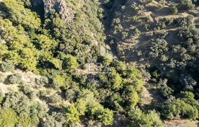 Datça Mesudiye'de Satılık 501m² Yatırım Değeri Yüksek Tarla