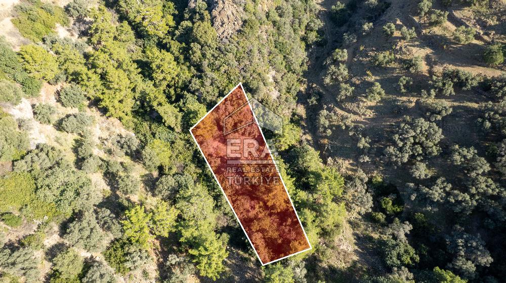 Datça Mesudiye'de Satılık 501m² Yatırım Değeri Yüksek Tarla