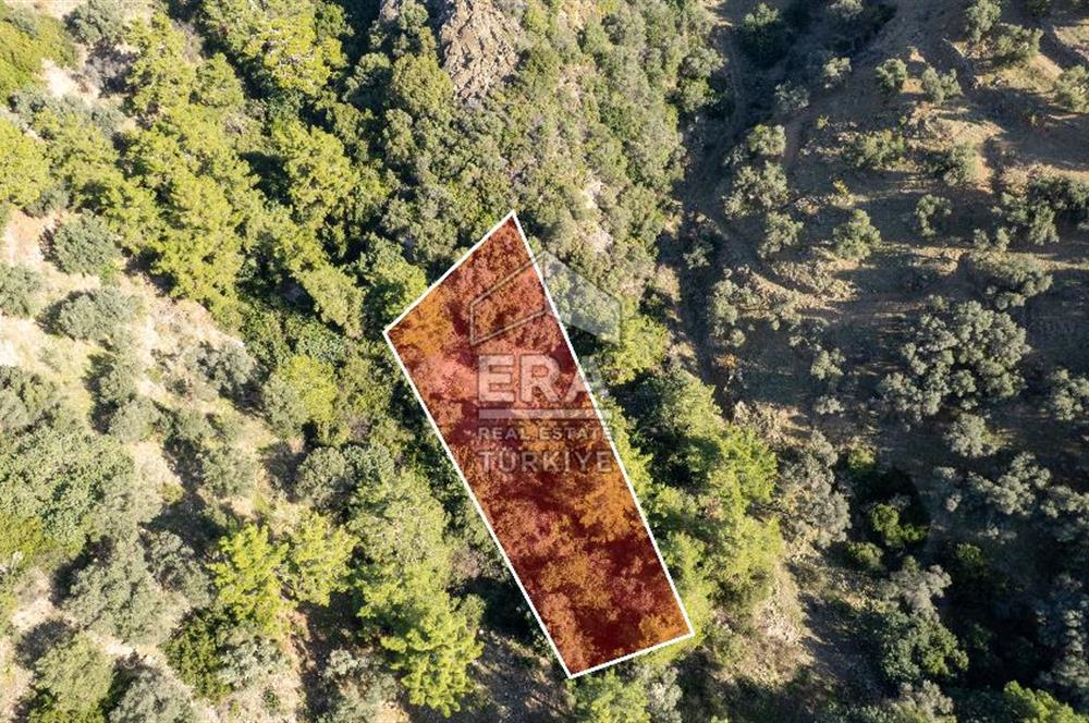 Datça Mesudiye'de Satılık 501m² Yatırım Değeri Yüksek Tarla