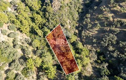 Datça Mesudiye'de Satılık 501m² Yatırım Değeri Yüksek Tarla