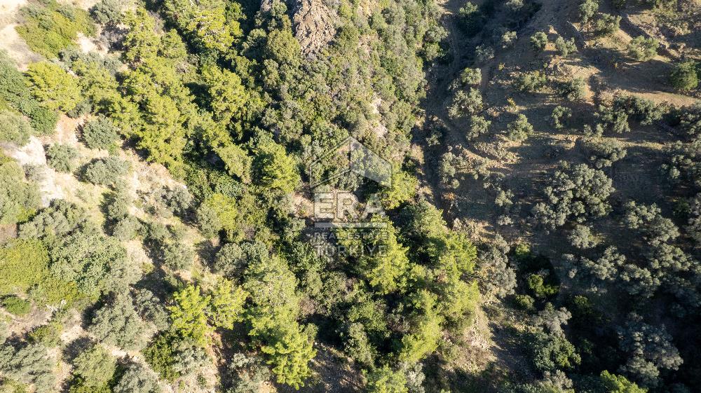 Datça Mesudiye'de Satılık 501m² Yatırım Değeri Yüksek Tarla