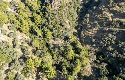 Datça Mesudiye'de Satılık 501m² Yatırım Değeri Yüksek Tarla