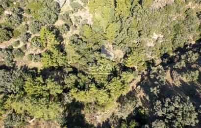 Datça Mesudiye'de Satılık 501m² Yatırım Değeri Yüksek Tarla