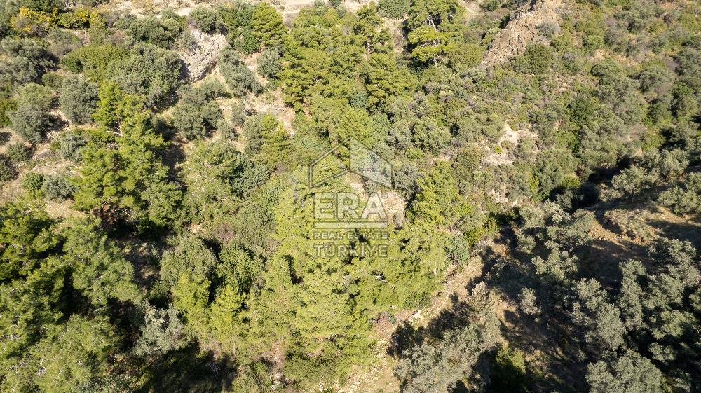 Datça Mesudiye'de Satılık 501m² Yatırım Değeri Yüksek Tarla