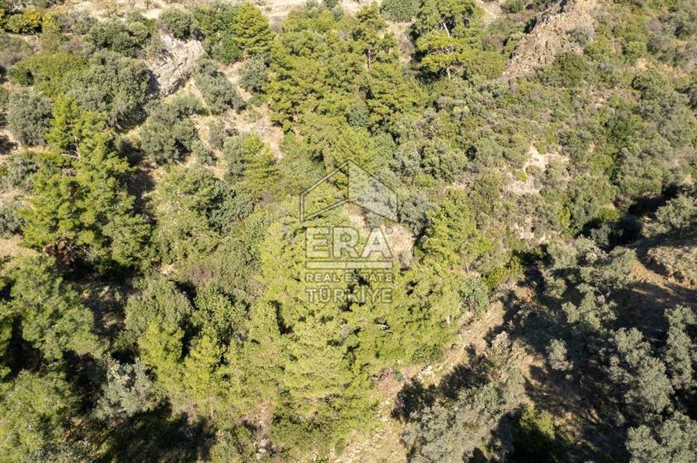 Datça Mesudiye'de Satılık 501m² Yatırım Değeri Yüksek Tarla