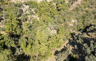 Datça Mesudiye'de Satılık 501m² Yatırım Değeri Yüksek Tarla