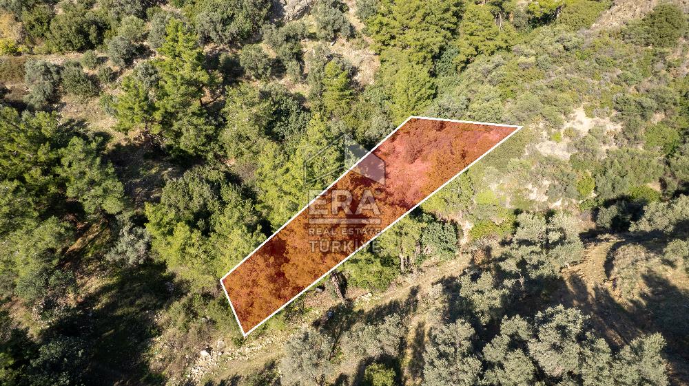 Datça Mesudiye'de Satılık 501m² Yatırım Değeri Yüksek Tarla