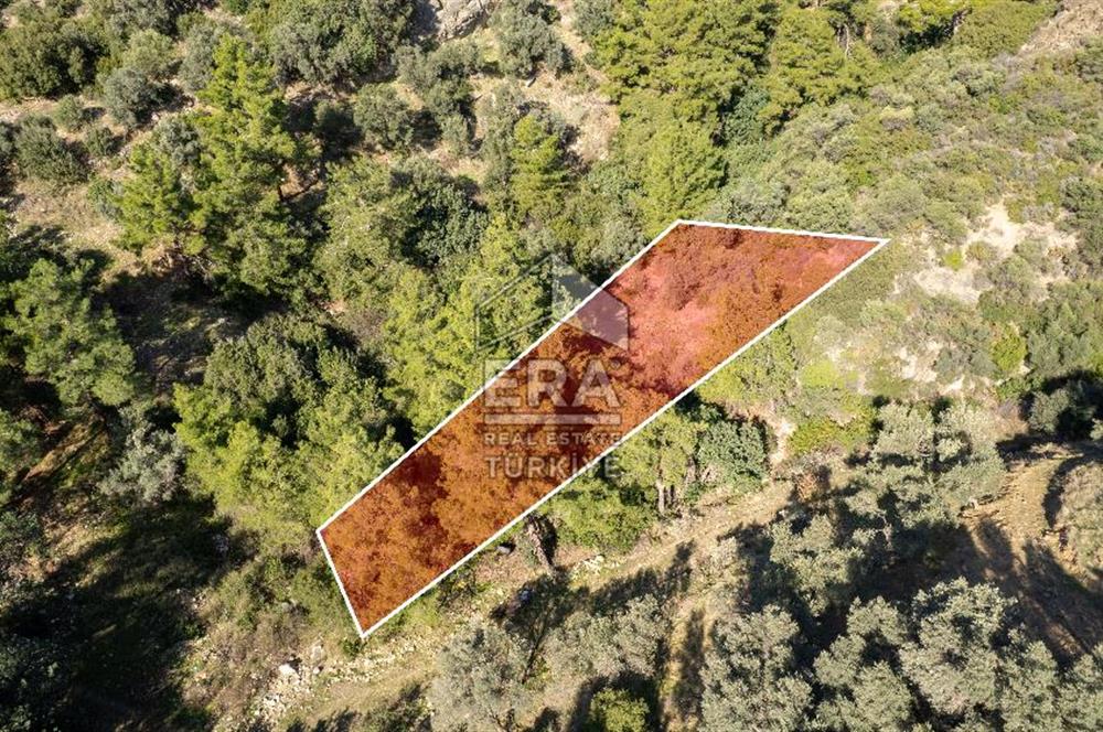 Datça Mesudiye'de Satılık 501m² Yatırım Değeri Yüksek Tarla