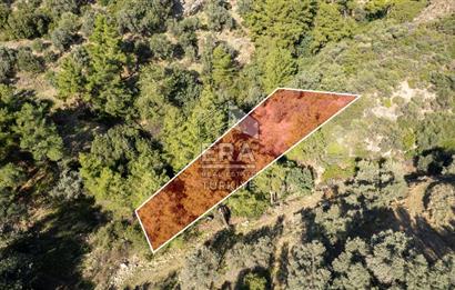 Datça Mesudiye'de Satılık 501m² Yatırım Değeri Yüksek Tarla