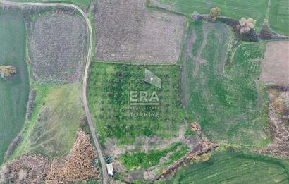 ERA SÖZ GAYRİMENKUL’DEN SUSURLUK GÖBEL’DE HEMEN GELİR GETİREN, DEĞERİ HER GEÇEN GÜN ARTAN SATILIK ZEYTİNLİK