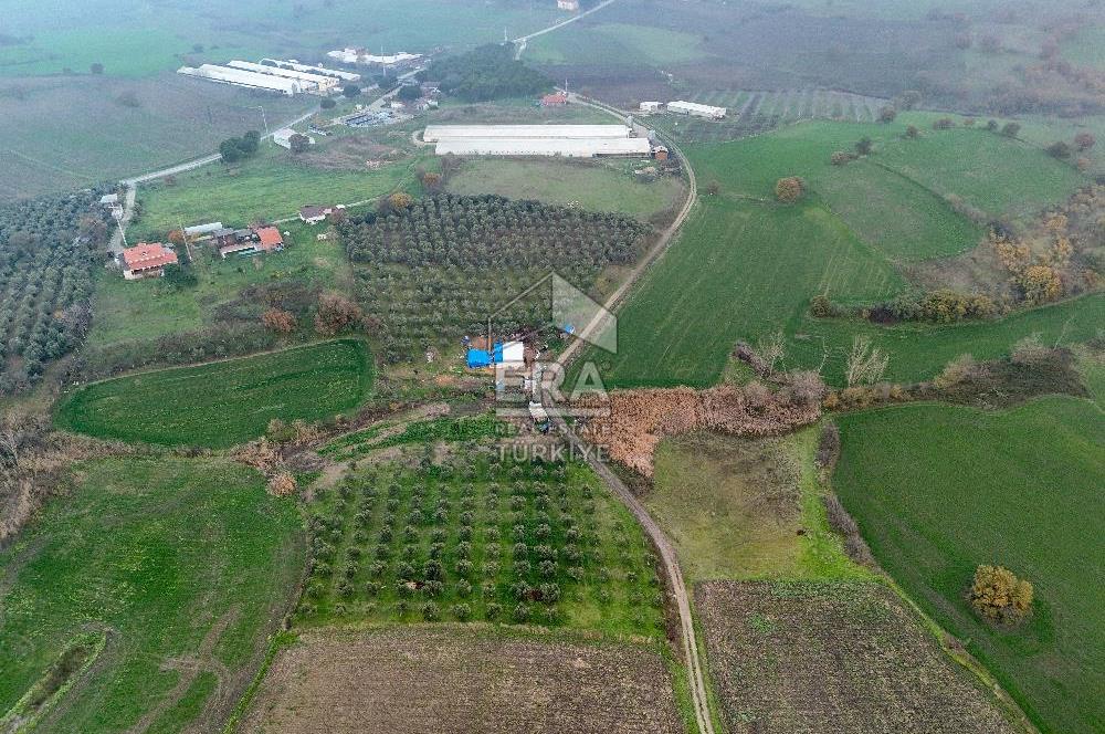 ERA SÖZ GAYRİMENKUL’DEN SUSURLUK GÖBEL’DE HEMEN GELİR GETİREN, DEĞERİ HER GEÇEN GÜN ARTAN SATILIK ZEYTİNLİK