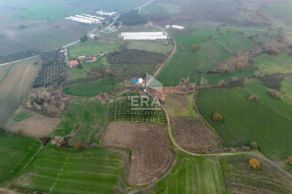 ERA SÖZ GAYRİMENKUL’DEN SUSURLUK GÖBEL’DE HEMEN GELİR GETİREN, DEĞERİ HER GEÇEN GÜN ARTAN SATILIK ZEYTİNLİK