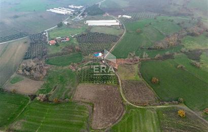 ERA SÖZ GAYRİMENKUL’DEN SUSURLUK GÖBEL’DE HEMEN GELİR GETİREN, DEĞERİ HER GEÇEN GÜN ARTAN SATILIK ZEYTİNLİK